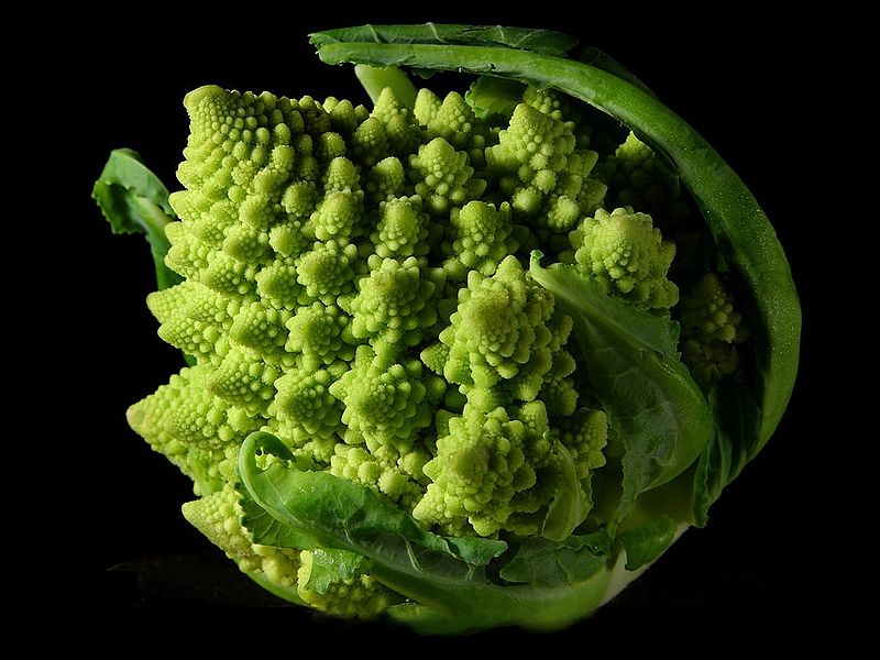 fractal_broccoli.jpg