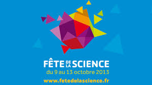 logo_fds_2013.jpg